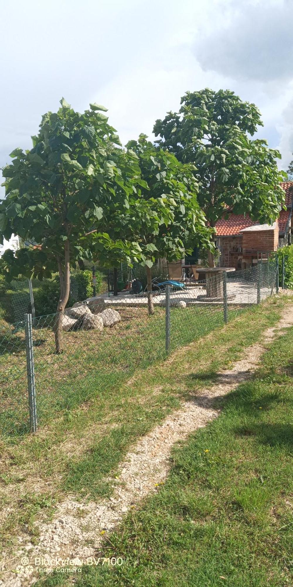 Stone House Vlasta Drniš Exteriér fotografie